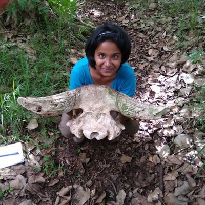 PhD candidate at the Frederickson lab @eebtoronto | IISc-UG |I like plants, bugs, music, cats and food