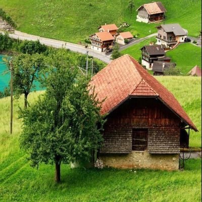 alsalebm's profile picture. 