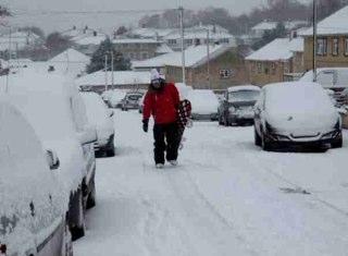 chippyzee's profile picture. 