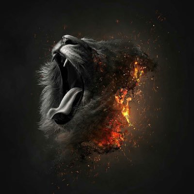 burnitdown567's profile picture. 