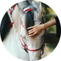 Loojy (@loogy0306) 's Twitter Profile