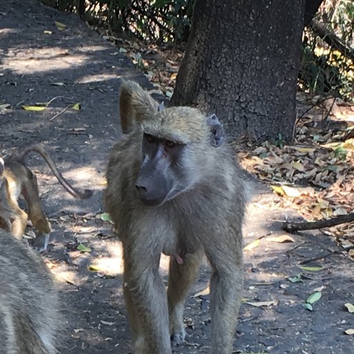 sleightHanded's profile picture. Threading the needle. Hankering for the crazy to simmer down. Resigned to tweet.