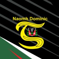 St. Dominic's GAA Club (@dominicgaa) 's Twitter Profile