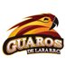 Guaros de Lara (@GuarosOficial) Twitter profile photo