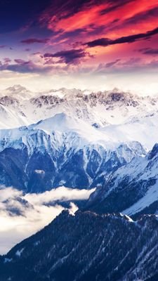 DanielG10691070's profile picture. 