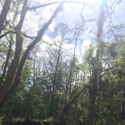 ElianaP97130809's profile picture. 