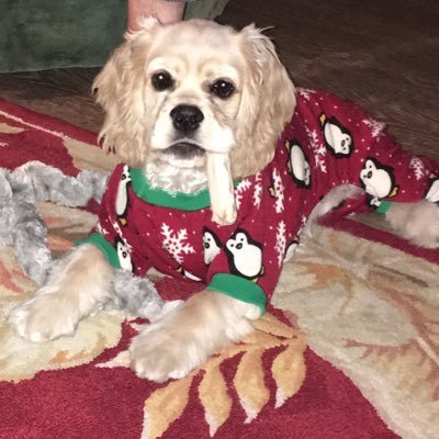 Rachele99's profile picture. 