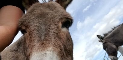 CherylThacker18's profile picture. Educator