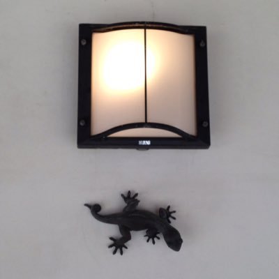 SoGo_Follow123's profile picture. 