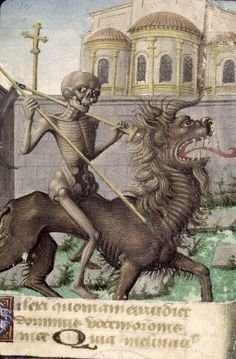 zlo240525's profile picture. hub  v folge