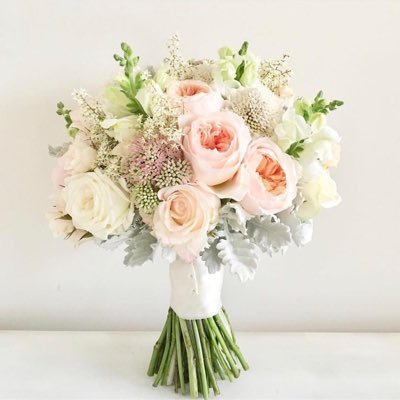 MaMajie8's profile picture. 