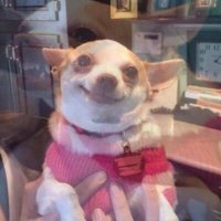 yer (@yoatleastitried) 's Twitter Profile