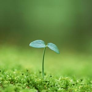 uminomori2000's profile picture. 「ショップ海の森」の非公式アカウントです。呟きに波と偏りがあると思います。