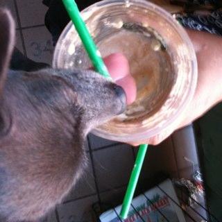 oregonkorean's profile picture. 