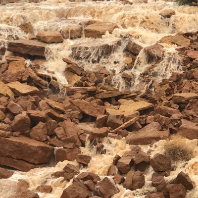 meshaalaljassas's profile picture. 