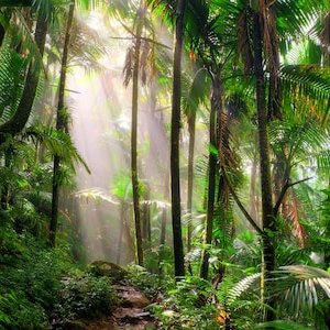 Renewable energy / Emerging Markets / Eco-hacking / Start ups / Finding solutions