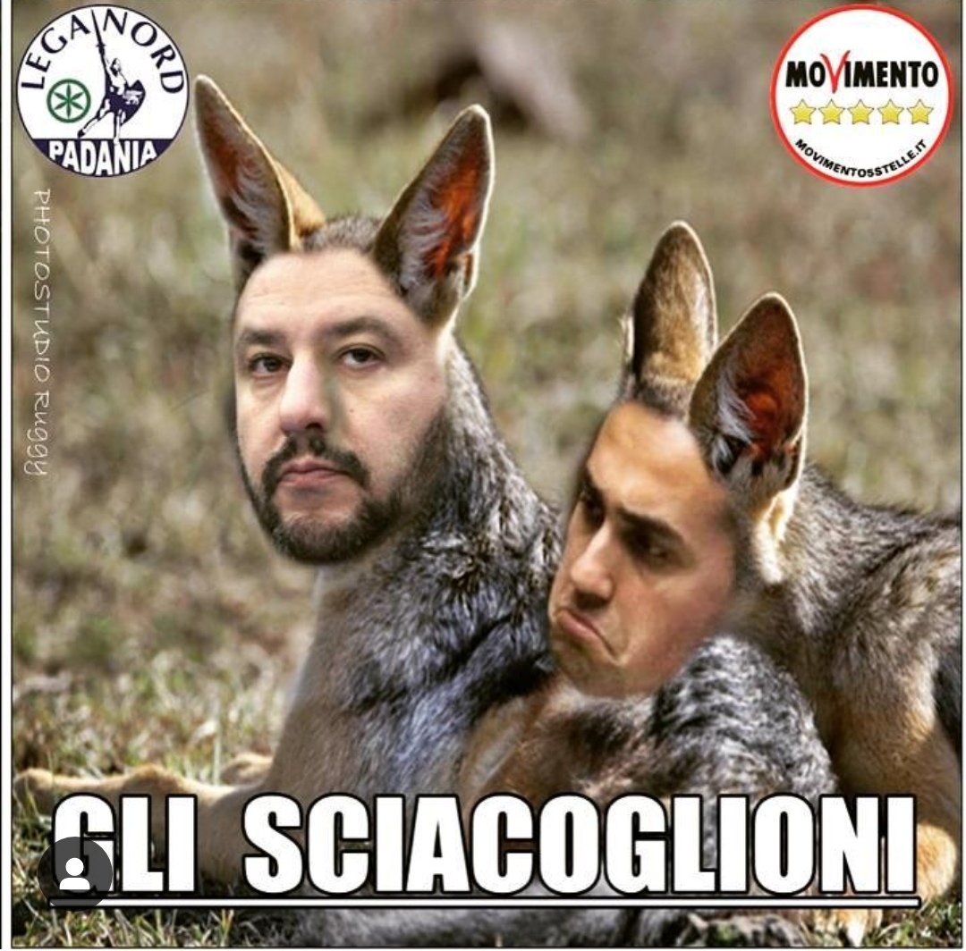 enricomixo's profile picture. #sfasciamolItalia #facciamorete #nericomio