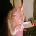 Kyla Howard - @Kylahahaha - Twitter