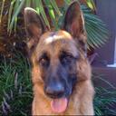 Judith Wright - @wotacorker - Twitter