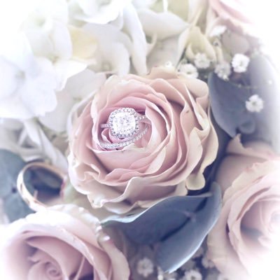 Animal, Health & Nature-Lover 🌿 Award-Winning Wedding & Portrait Photographer 📸 Available for Weddings at Home or Overseas 😘💕