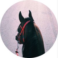 BF.alsubie🐎 (@alsubiebf) 's Twitter Profile