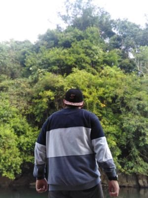 AnasZulfadhli's profile picture. Heliotrope.