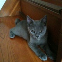 MaruMaru (@miktmn) 's Twitter Profile