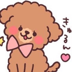 至恩🐶虎太郎🐶銀次郎🐶花🐶凱🐶真琉🐶 🐩犬中心の生活🐩犬垢