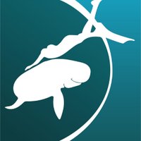 FreedivingUAE(@FreedivingUAE) 's Twitter Profile Photo