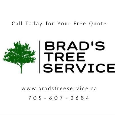 Brad's Tree Service specializes in dangerous & undesirable tree removal, 24 hour emergency tree removal, stump grinding, hedge trimming, pruning & more.🌳🌲🇨🇦