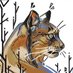 Alsares (@alsareslynx) Twitter profile photo Alsares (@alsareslynx) Twitter profile photo