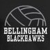 Blackhawks Vball (@BlackhawksBVB) Twitter profile photo