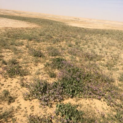 لا أحد يعلم في أي طريق يختبئ الفرح ! ولكن تيقّنوا أن الله سيقودكم إليه ..