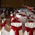 Topia Dream Events (@topiaevents) Twitter profile photo Topia Dream Events (@topiaevents) Twitter profile photo