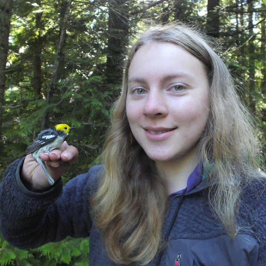 PhD candidate at the University of Toronto studying the genomics of speciation. Currently studying skuas, manakins, and rates of sequence evolution.