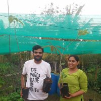Niraj Bhatt (@niraj_pen) 's Twitter Profile
