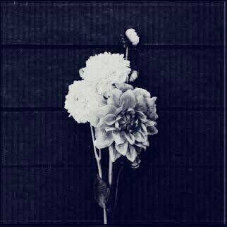 A74904830's profile picture. 