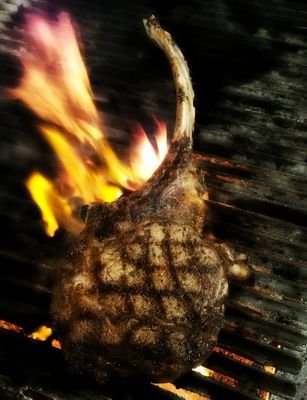 Foodude411's profile picture. 