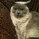 Mary Esper - @bigmarzy1 - Twitter