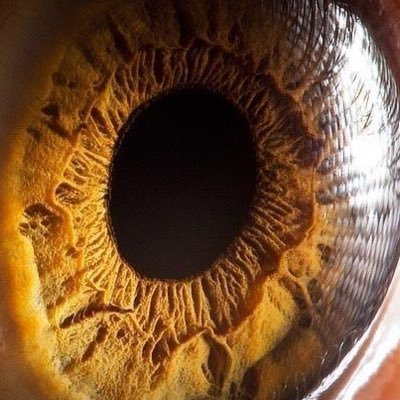 Drqueirozneto's profile picture. Médico Oftalmologista 
Instituto Penido Burnier
Campinas SP