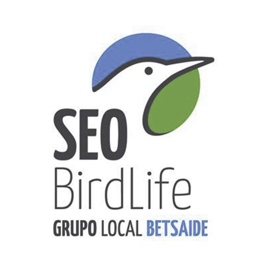 SEO Betsaide es el grupo local de SEO/Birdlife en las provincias de ALAVA y BIZKAIA