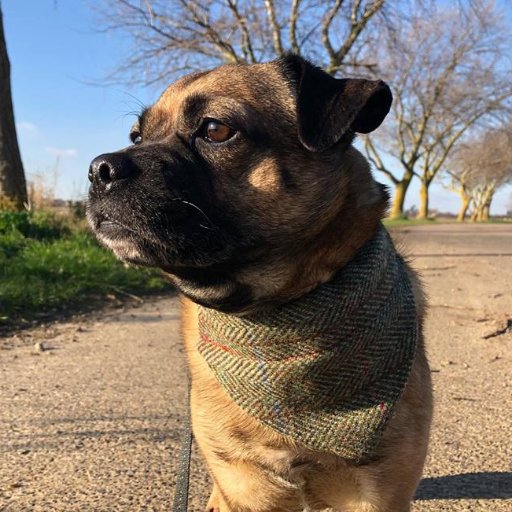 DaisyandJay_'s profile picture. 