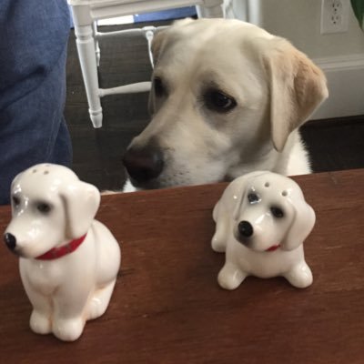 mujibarf's profile picture. 