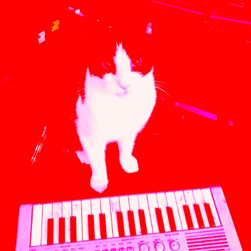 I am Picasio Cat, I make beats and cover versions on a casio keyboard.