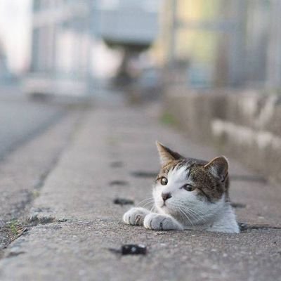 Today and Todayさんのプロフィール画像
