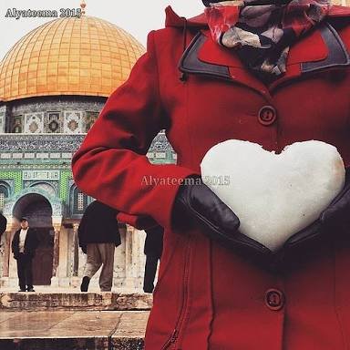 اميرة الجزائر....🇩🇿🇩🇿عاشقة فلسطين❤❤