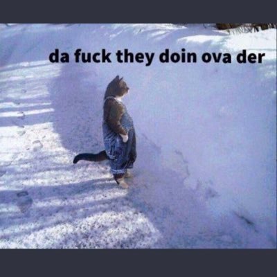 I made this hoe so I can post what I want and not worry bout college n shit