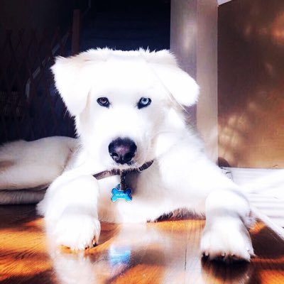 nrosser's profile picture. Runner, mtn biker, gadget guy slash tech-geek, past-drummer, father & husband in North Texas. Born in OK, OKState Cowboy.