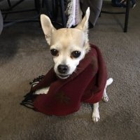 Tim Wentworth (@timwentworth11) 's Twitter Profile Photo