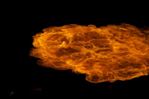 Projektofly's profile picture. 